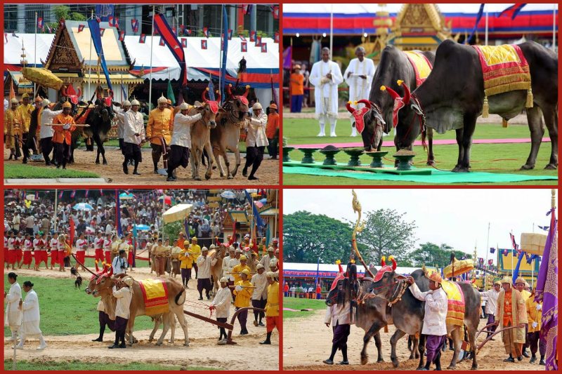 Preah Neanng Korl plowing festival in Cambodia